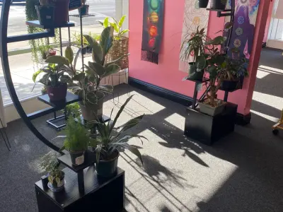Hidden Gem, Google photo 3