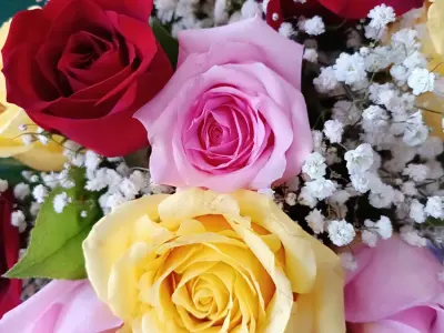 isabella's flowers, Google photo 4